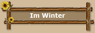 Im Winter